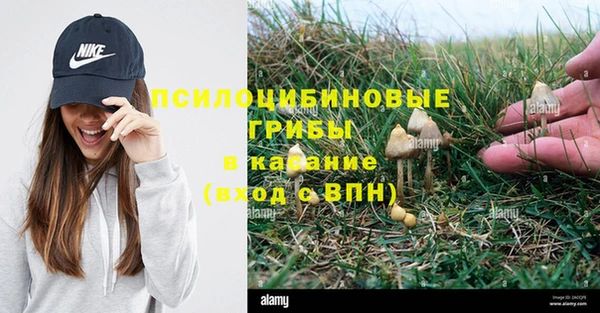 MESCALINE Чердынь