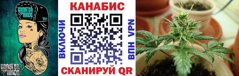 Купить где  Советская Гавань  Конопля Bruce Banner 
